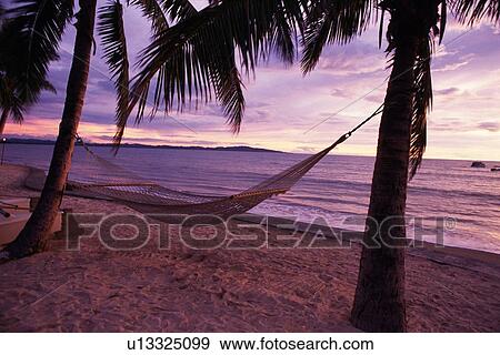 A Hammock at the Beach, Side View View Large Photo Image Stock Photo - A Hammock at the Beach, Side View. Fotosearch
