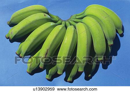 Stock Photo - Bunch of Green Bananas, High Angle View. Fotosearch