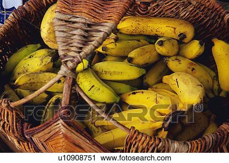 Stock Image - Closed Up Image of Bananas in the Basket, High Angle View, . Fotosearch