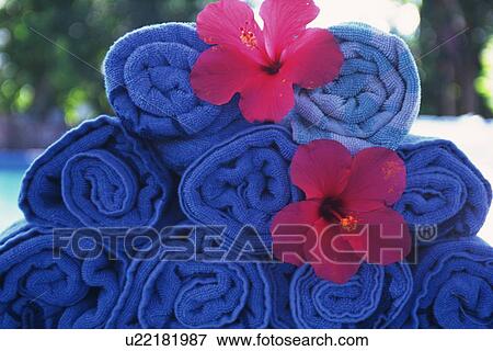 Closed Up Image of Roll of Blue Towels, Side View View Large Photo Image Stock Photo - Closed Up Image of Roll of Blue Towels, Side View. Fotosearch