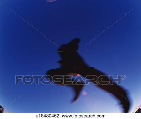 Businessman Jumping, Low Angle View, Lens Flare, Long Exposure View Large Photo Image Stock Image - Businessman Jumping, Low Angle View, Lens Flare, Long Exposure. Fotosearch