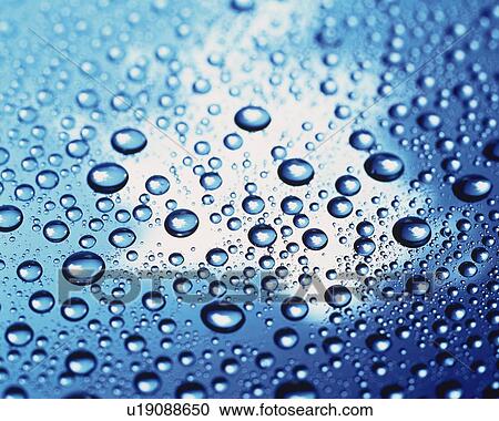 Stock Image - Rain Drops, Close Up, Differential Focus, In Focus, Out Focus, Full Flame. Fotosearch