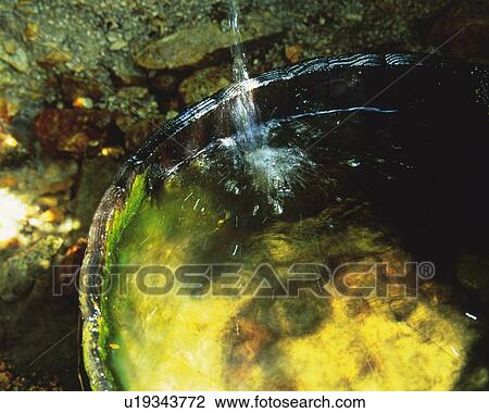 Stock Image - Rain Water Tub, High Angle View, Close Up, Differential Focus, In Focus, Out Focus, . Fotosearch