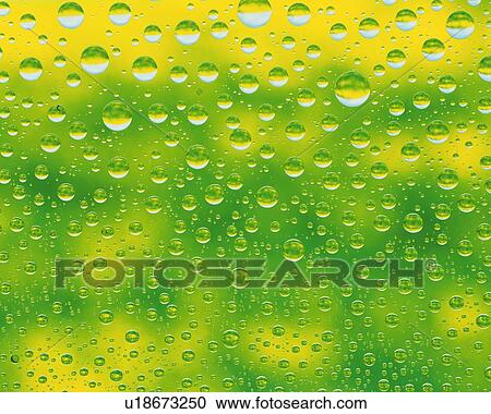 Spread Dew, Close Up, Differential Focus, In Focus, Out Focus, Full Frame, View Large Photo Image Stock Image - Spread Dew, Close Up, Differential Focus, In Focus, Out Focus, Full Frame,. Fotosearch