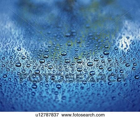Spread Dew, Close Up, Differential Focus, In Focus, Out Focus, Full Flame View Large Photo Image Stock Photo - Spread Dew, Close Up, Differential Focus, In Focus, Out Focus, Full Flame. Fotosearch
