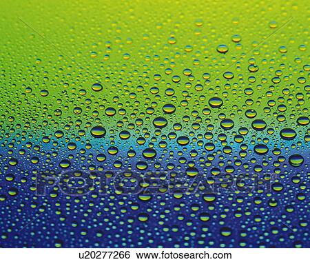 Spread Dew, Close Up, Differential Focus, In Focus, Out Focus, Full Flame, View Large Photo Image Stock Photograph - Spread Dew, Close Up, Differential Focus, In Focus, Out Focus, Full Flame,. Fotosearch