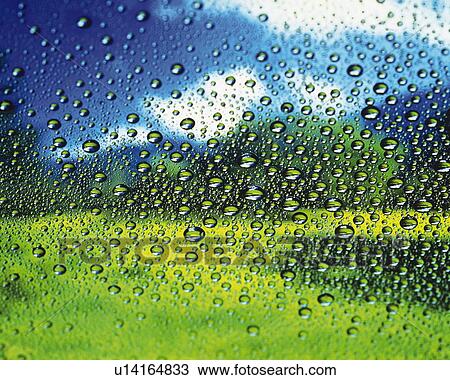 Spread Dew on the Window, Close Up, Differential Focus, In Focus, Out Focus, View Large Photo Image Stock Image - Spread Dew on the Window, Close Up, Differential Focus, In Focus, Out Focus,. Fotosearch