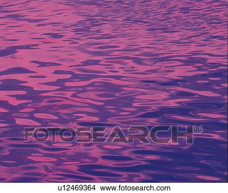 Picture - Surface of Water, High Angle View, Full Flame, Close Up, Toned Image, Differential Focus, In Focus, Out Focus,. Fotosearch