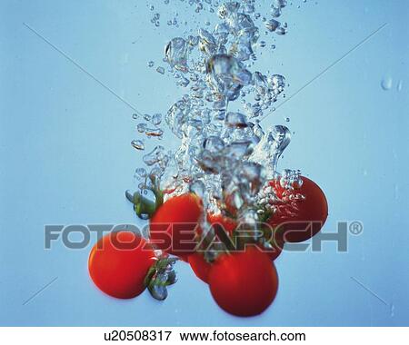 Tomatoes Dropping in Water, Close Up, View Large Photo Image Stock Photo - Tomatoes Dropping in Water, Close Up, . Fotosearch