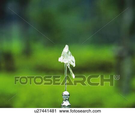 Stock Image - Water Coming Out of The Tap, Front View, Close Up, Differential Focus, In Focus, Out Focus,. Fotosearch