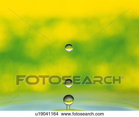 Picture - Water Drop, Close Up, Differential Focus, In Focus, Out Focus,. Fotosearch