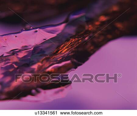Acrylic Art, Photography, Close Up, Differential Focus View Large Photo Image Stock Image - Acrylic Art, Photography, Close Up, Differential Focus. Fotosearch