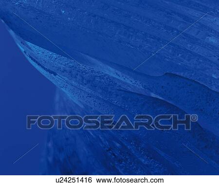 Stock Photograph - Acrylic Art, Photography, Close Up. Fotosearch