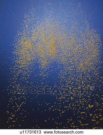Bubble in Water, Close Up, Differential Focus, In Focus, Out Focus, View Large Photo Image Stock Image - Bubble in Water, Close Up, Differential Focus, In Focus, Out Focus,. Fotosearch