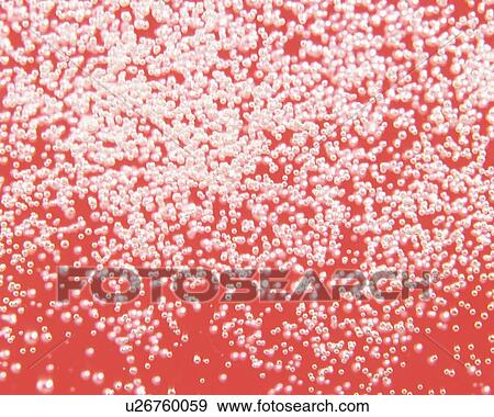 Bubble in Water, Close Up, Differential Focus, In Focus, Out Focus, Full Frame, View Large Photo Image Stock Photo - Bubble in Water, Close Up, Differential Focus, In Focus, Out Focus, Full Frame,. Fotosearch