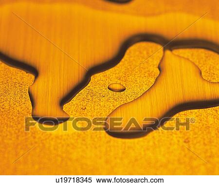 Drops of Water, Close Up, Differential Focus, In Focus, Out Focus, View Large Photo Image Stock Photography - Drops of Water, Close Up, Differential Focus, In Focus, Out Focus, . Fotosearch