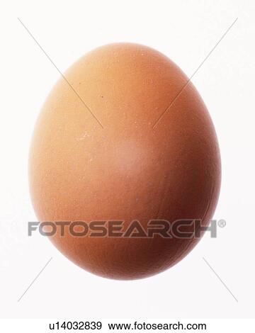 Stock Photo - Brown Egg, Front View, Close Up. Fotosearch
