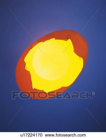 Cracked Egg, High Angle View, Close Up View Large Photo Image Stock Image - Cracked Egg, High Angle View, Close Up. Fotosearch