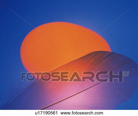 Stock Image - Lightened Egg and Feather, Close Up. Fotosearch