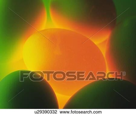 Stock Image - Lightened Egg, Close Up, High Angle View. Fotosearch