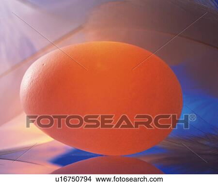 Picture - Lightened Egg in Feather, Close Up. Fotosearch