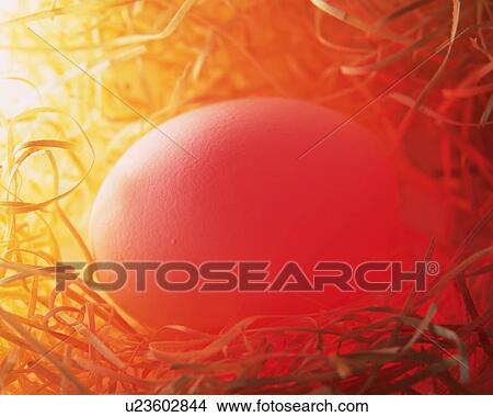 Lightened Egg in Straw, Close Up, High Angle View View Large Photo Image Picture - Lightened Egg in Straw, Close Up, High Angle View. Fotosearch