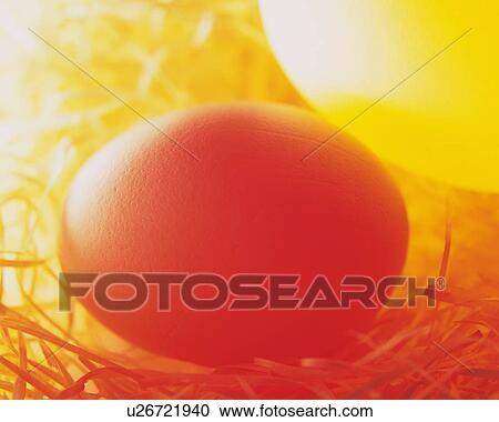 Stock Image - Lightened Egg in Straw, Close Up, Differential Focus, In Focus, Out Focus. Fotosearch