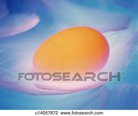 Lightened Egg on Feather, Close Up, Differential Focus, In Focus, Out Focus View Large Photo Image Stock Image - Lightened Egg on Feather, Close Up, Differential Focus, In Focus, Out Focus. Fotosearch
