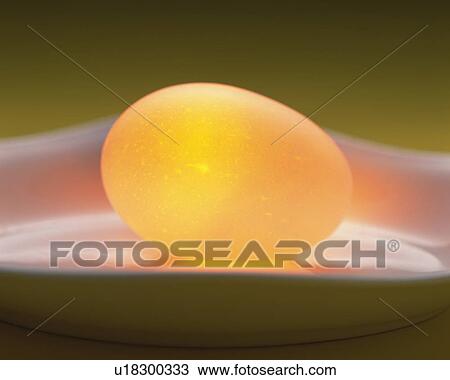 Lightened Egg, Side View, Close Up View Large Photo Image Stock Image - Lightened Egg, Side View, Close Up. Fotosearch
