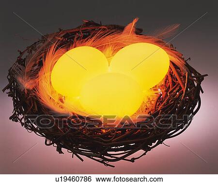 Lightened Eggs in Nest, High Angle View, Close Up View Large Photo Image Stock Photograph - Lightened Eggs in Nest, High Angle View, Close Up. Fotosearch