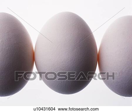 Lined Eggs, Front View, Close Up View Large Photo Image Picture - Lined Eggs, Front View, Close Up. Fotosearch