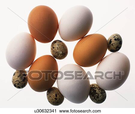 Stock Image - Various Kinds of Egg, High Angle View, Close Up. Fotosearch