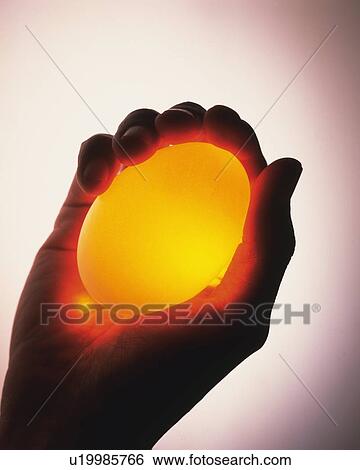 Yellow Egg in Right Hand, High Angle View, Close Up View Large Photo Image Stock Photograph - Yellow Egg in Right Hand, High Angle View, Close Up. Fotosearch