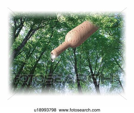 Bottle and Forest, CG, 3D, Composite, Photography, Low Angle View View Large Illustration Stock Illustration - Bottle and Forest, CG, 3D, Composite, Photography, Low Angle View. Fotosearch