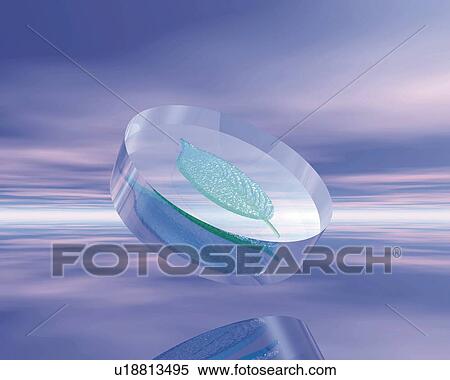 Stock Illustration - Leaf in the cylinder, CG, 3D. Fotosearch