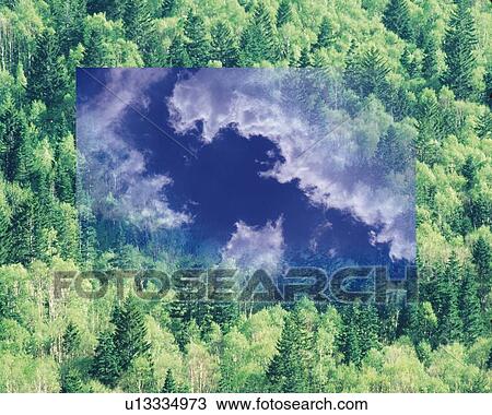 Sky and Forest, CG, 3D, Composite, Photography View Large Illustration Drawing - Sky and Forest, CG, 3D, Composite, Photography. Fotosearch