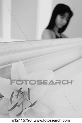 Woman in the mirror, lily in foreground, black and white, side view View Large Photo Image Stock Photograph - Woman in the mirror, lily in foreground, black and white, side view. Fotosearch