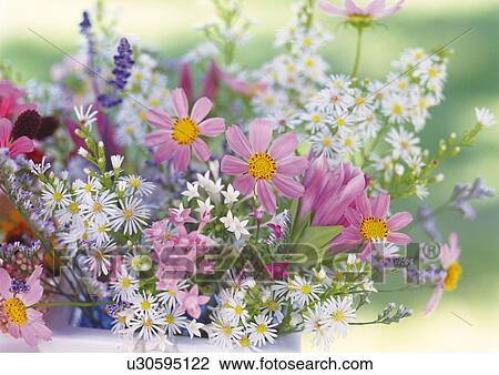 Bunch of Flowers, Close Up, Differential Focus, In Focus, Out Focus View Large Photo Image Stock Image - Bunch of Flowers, Close Up, Differential Focus, In Focus, Out Focus. Fotosearch
