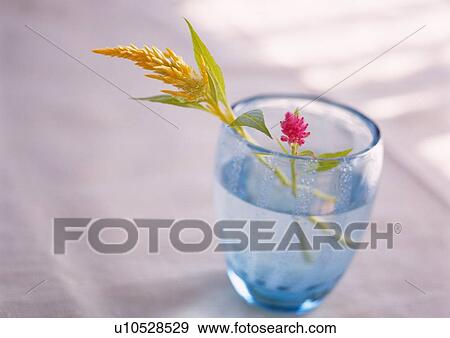 Cut Flowers in Glass, High Angle View, Close Up, Differential Focus, In Focus, Out Focus View Large Photo Image Stock Photo - Cut Flowers in Glass, High Angle View, Close Up, Differential Focus, In Focus, Out Focus. Fotosearch