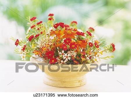 Flower Arrangement in Vase, Close Up, Front View, Differential Focus, In Focus, Out Focus View Large Photo Image Stock Photography - Flower Arrangement in Vase, Close Up, Front View, Differential Focus, In Focus, Out Focus. Fotosearch