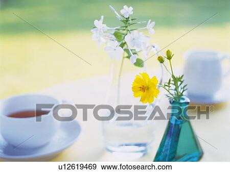 Flower in Small Vase, Close Up, Differential Focus, In Focus, Out Focus View Large Photo Image Stock Photo - Flower in Small Vase, Close Up, Differential Focus, In Focus, Out Focus. Fotosearch