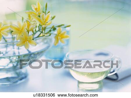 Flower in Vase and Herb Tea on Table, High Angle View, Close Up, Differential Focus, In Focus, Out Focus View Large Photo Image Stock Photograph - Flower in Vase and Herb Tea on Table, High Angle View, Close Up, Differential Focus, In Focus, Out Focus. Fotosearch