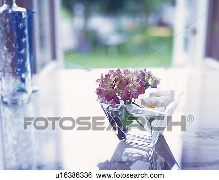 Flower in Vase, High Angle View, Close Up, Differential Focus, In Focus, Out Focus View Large Photo Image Stock Photograph - Flower in Vase, High Angle View, Close Up, Differential Focus, In Focus, Out Focus. Fotosearch