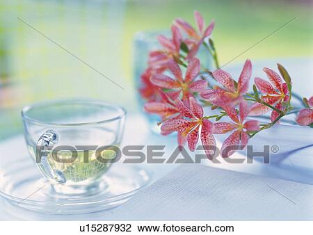 Flowers and Cup of Tea on Table, Close Up, Differential Focus, In Focus, Out Focus View Large Photo Image Stock Image - Flowers and Cup of Tea on Table, Close Up, Differential Focus, In Focus, Out Focus. Fotosearch