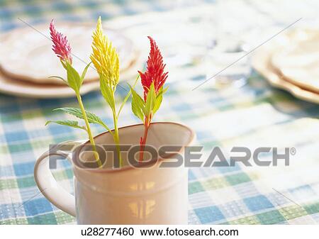 Stock Image - Flowers and Tableware, High Angle View, Close Up, Differential Focus, In Focus, Out Focus. Fotosearch