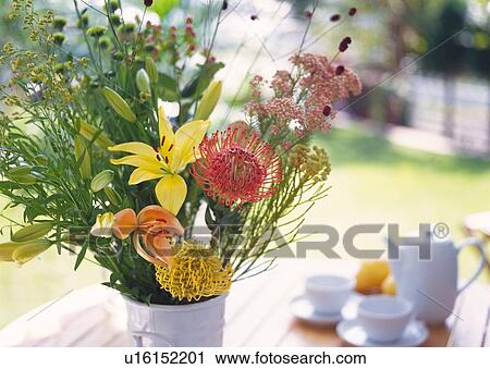 Stock Image - Flowers in Pitcher, Close Up, Differential Focus, In Focus, Out Focus. Fotosearch