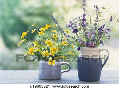 Stock Image - Flowers in Pitchers, Side View, Differential Focus, In Focus, Out Focus. Fotosearch