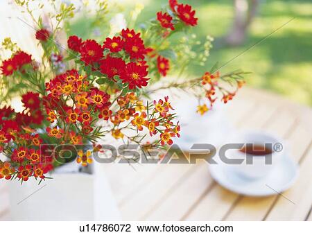 Flowers in Vase and Tea Set, High Angle View, Close Up, Differential Focus, In Focus, Out Focus View Large Photo Image Stock Image - Flowers in Vase and Tea Set, High Angle View, Close Up, Differential Focus, In Focus, Out Focus. Fotosearch