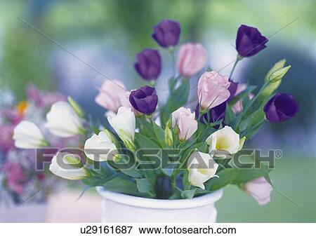Flowers in Vase, Close Up, Differential Focus, In Focus, Out Focus View Large Photo Image Stock Photo - Flowers in Vase, Close Up, Differential Focus, In Focus, Out Focus. Fotosearch