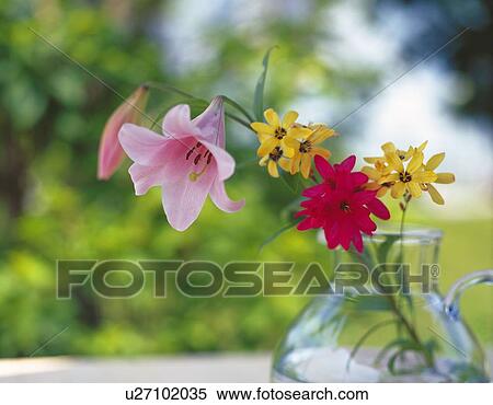 Flowers in Vase, Close Up, Low Angle View, Differential Focus, In Focus, Out Focus View Large Photo Image Stock Photography - Flowers in Vase, Close Up, Low Angle View, Differential Focus, In Focus, Out Focus. Fotosearch